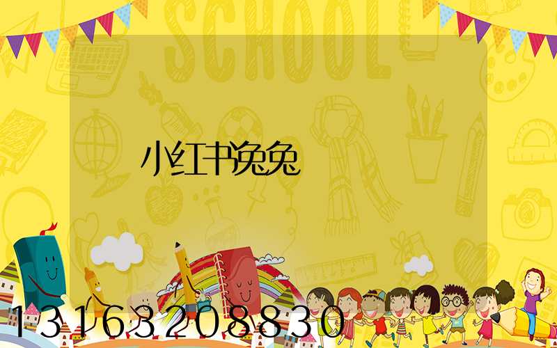 小红书兔兔