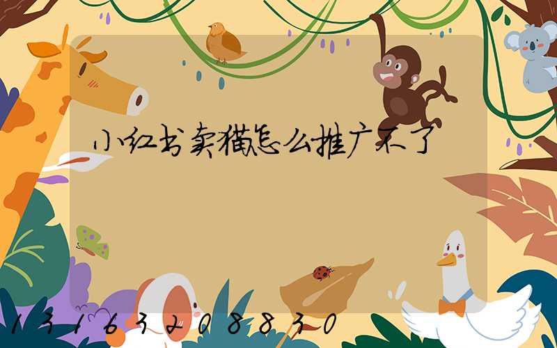 小红书卖猫怎么推广不了