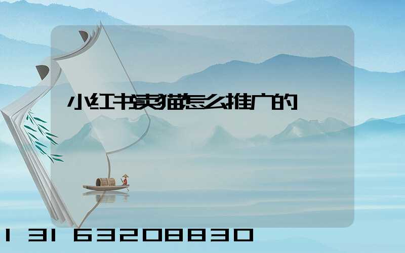 小红书卖猫怎么推广的