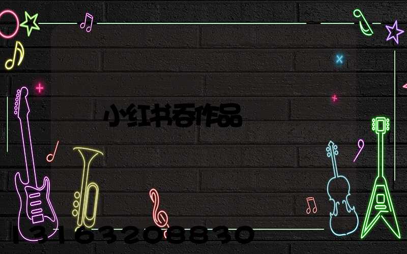 小红书吞作品