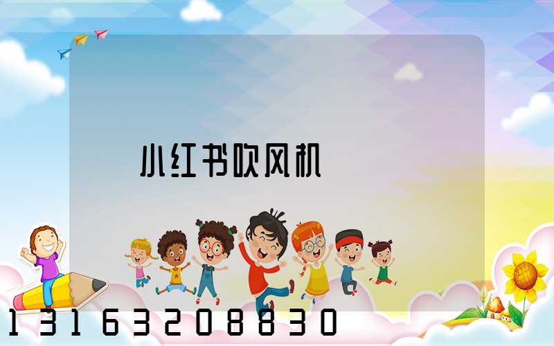 小红书吹风机