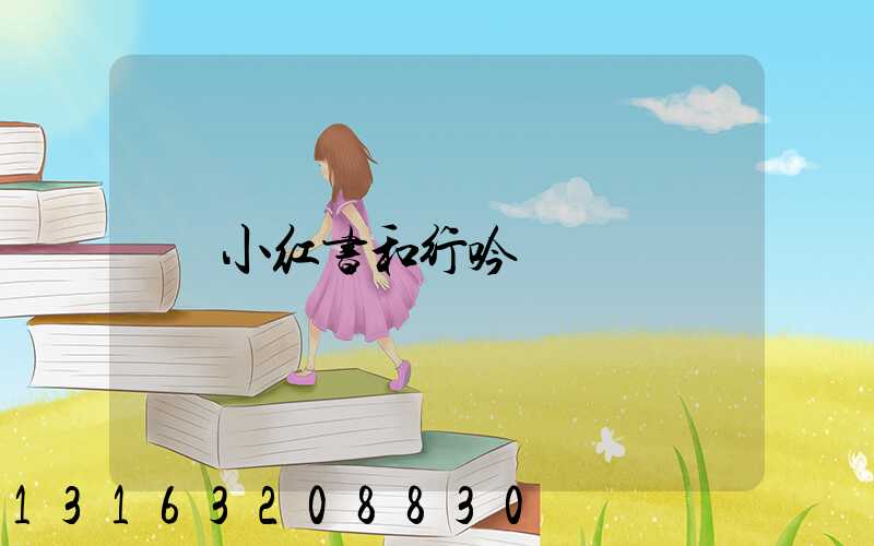 小红书和行吟