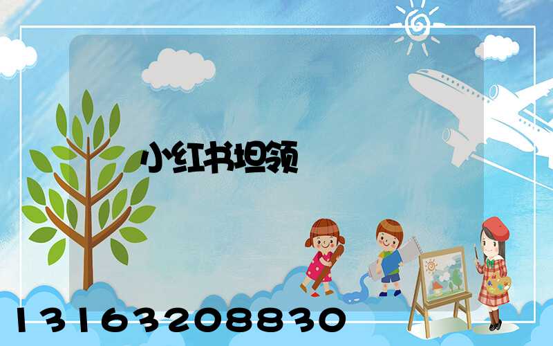 小红书坦领