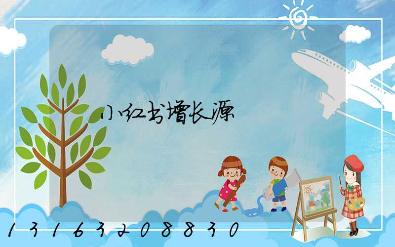 小红书增长源