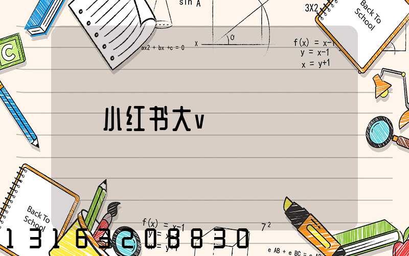 小红书大v