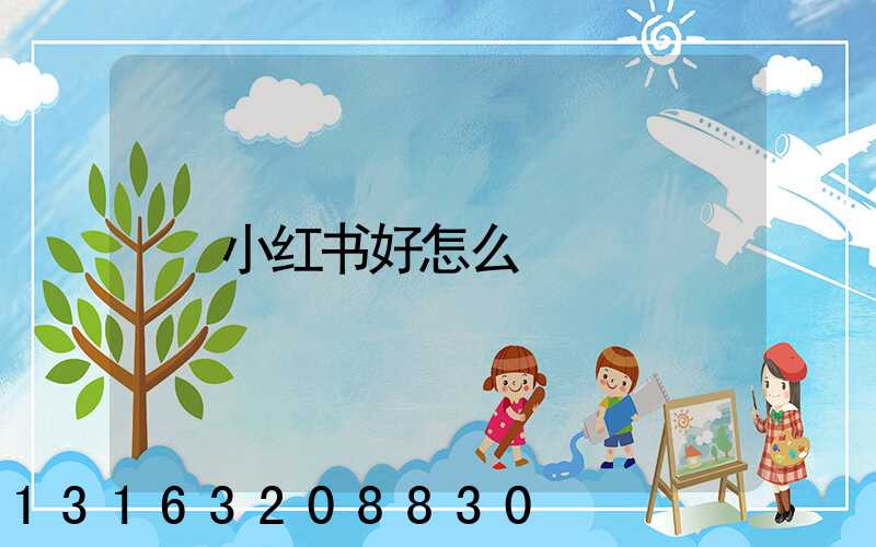小红书好怎么