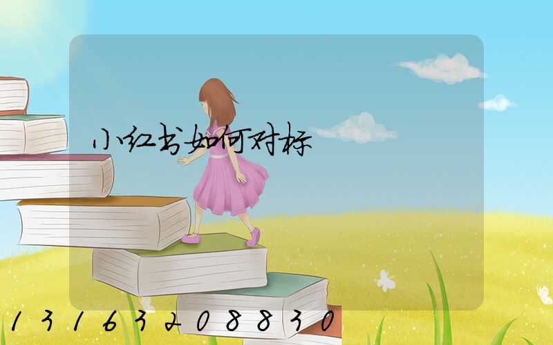 小红书如何对标
