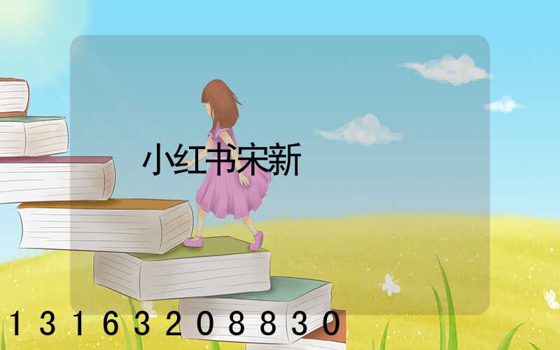 小红书宋新