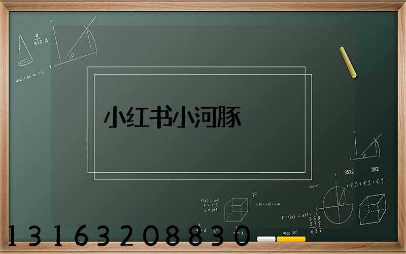 小红书小河豚