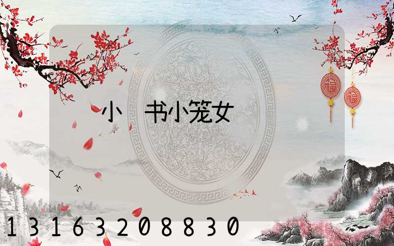 小红书小笼女