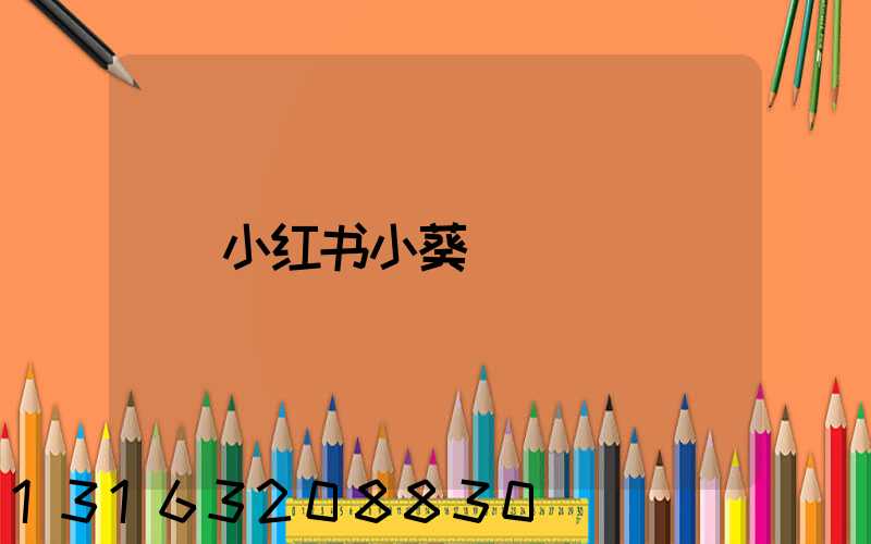 小红书小葵