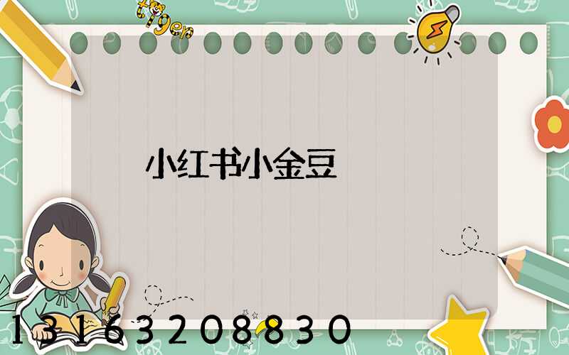 小红书小金豆