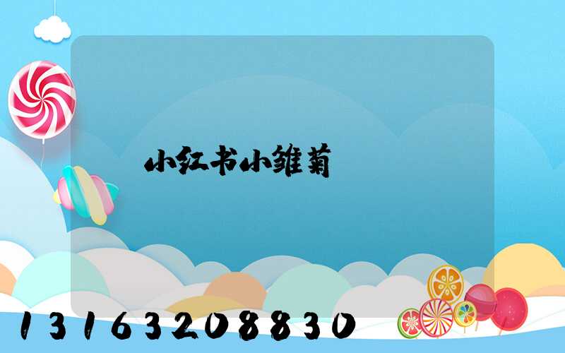 小红书小雏菊