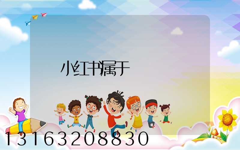 小红书属于