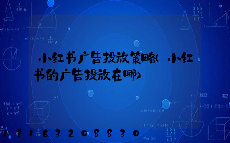 小红书广告投放策略(小红书的广告投放在哪)