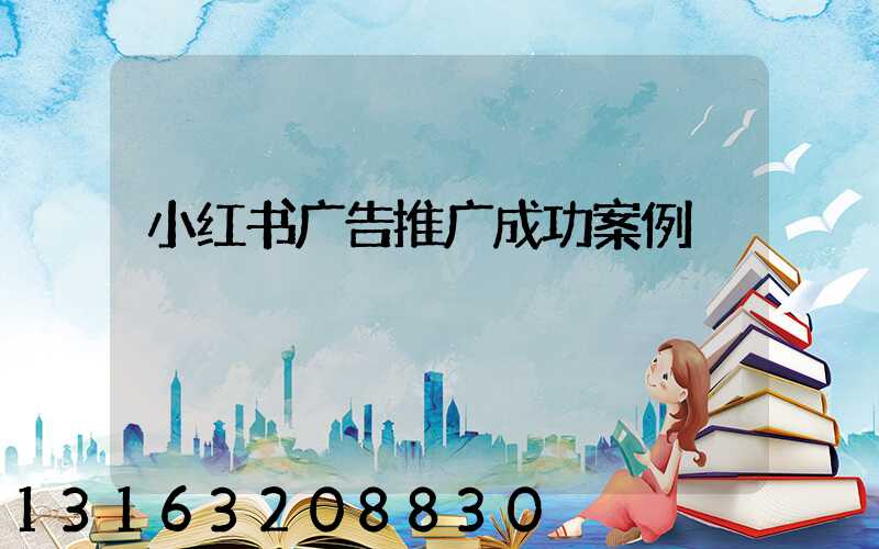 小红书广告推广成功案例