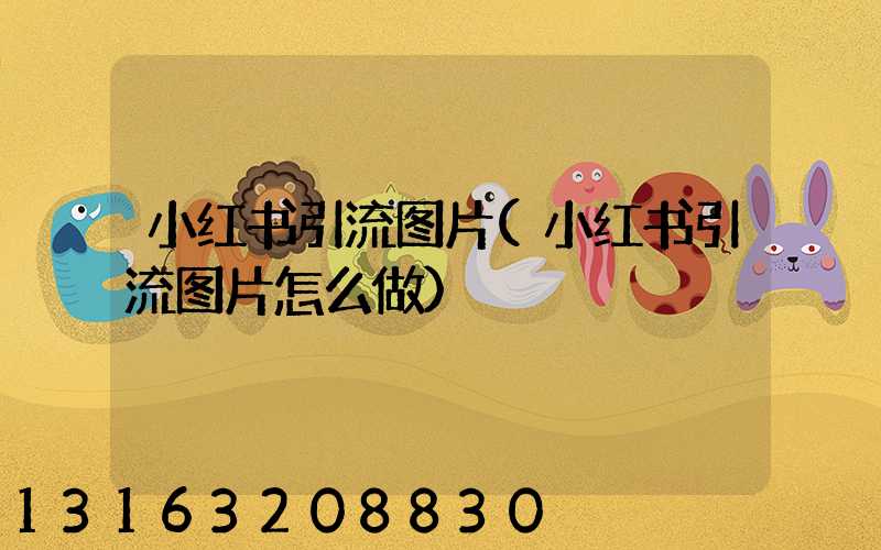 小红书引流图片(小红书引流图片怎么做)
