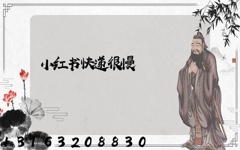 小红书快递很慢