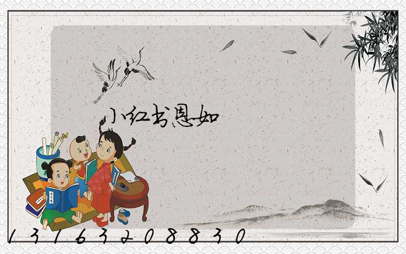 小红书恩如