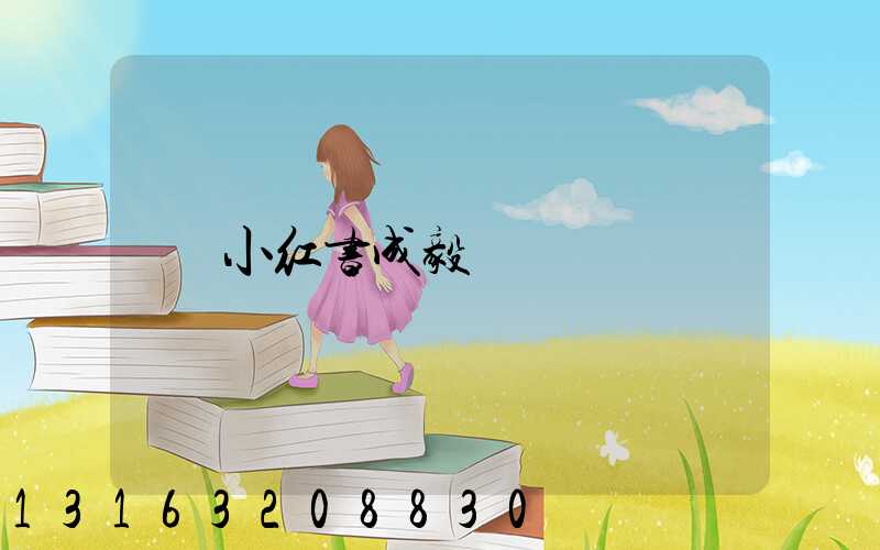 小红书成毅