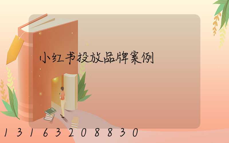 小红书投放品牌案例