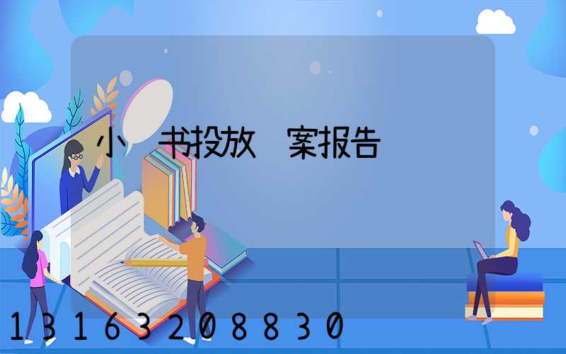 小红书投放结案报告