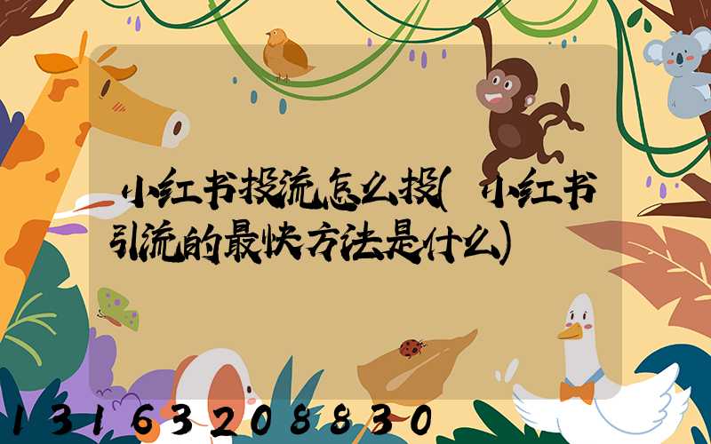 小红书投流怎么投(小红书引流的最快方法是什么)