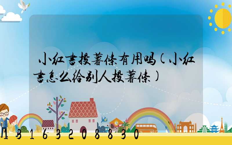 小红书投薯条有用吗(小红书怎么给别人投薯条)