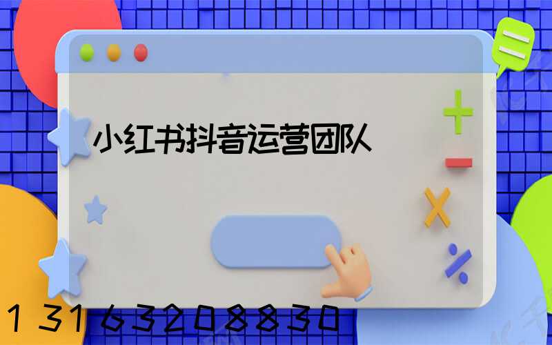 小红书抖音运营团队