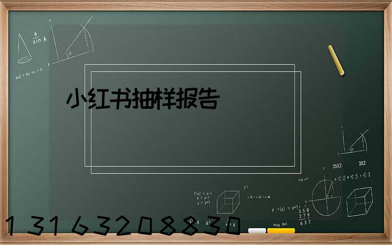 小红书抽样报告
