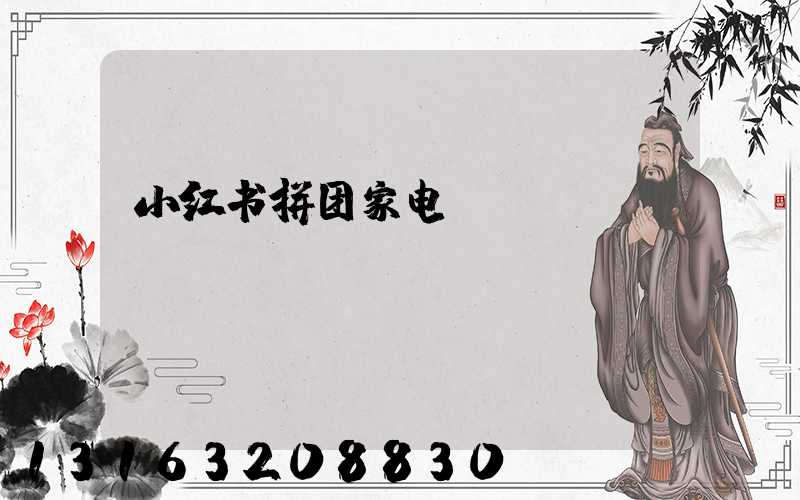 小红书拼团家电