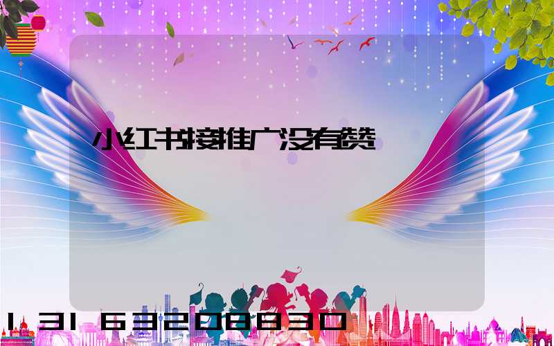 小红书接推广没有赞