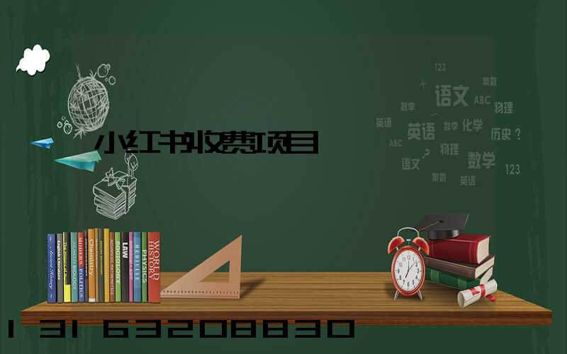 小红书收费项目
