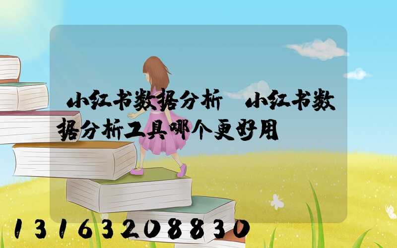 小红书数据分析(小红书数据分析工具哪个更好用)