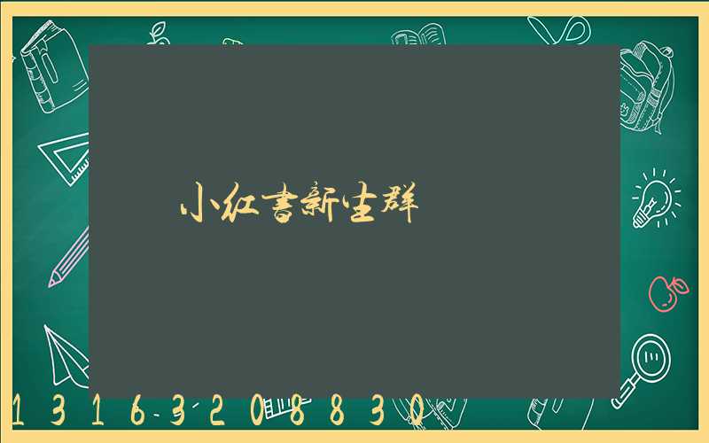 小红书新生群