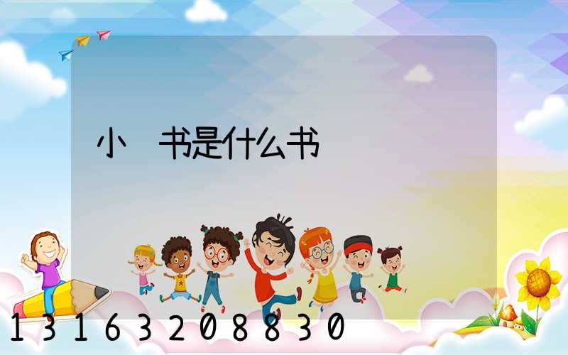 小红书是什么书