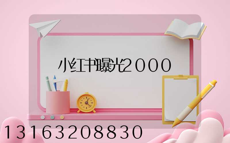 小红书曝光2000