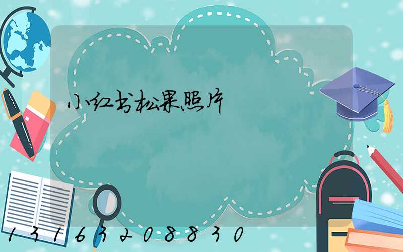 小红书松果照片
