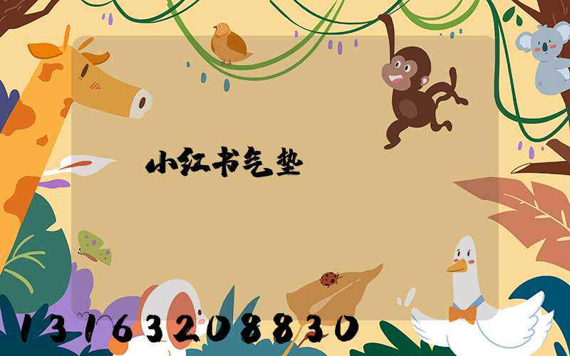 小红书气垫
