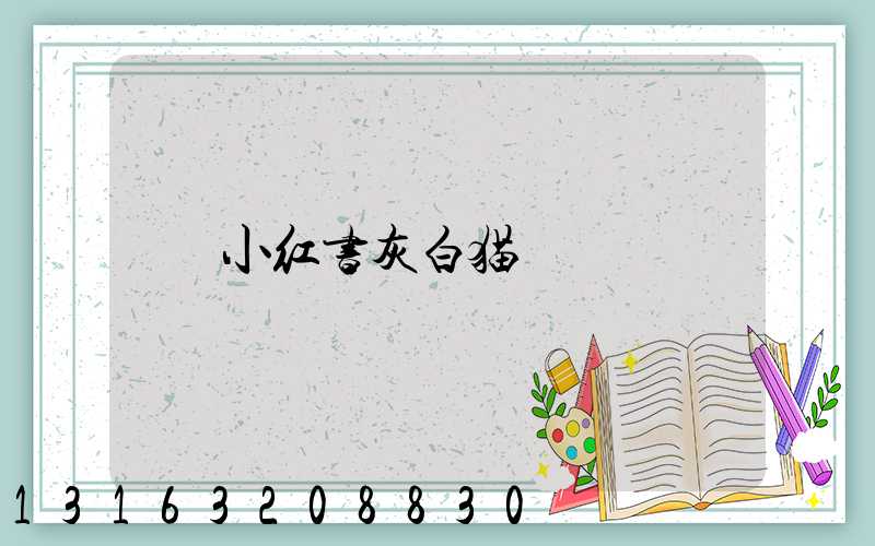 小红书灰白猫