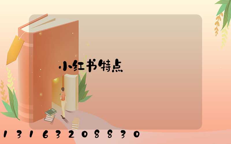 小红书特点