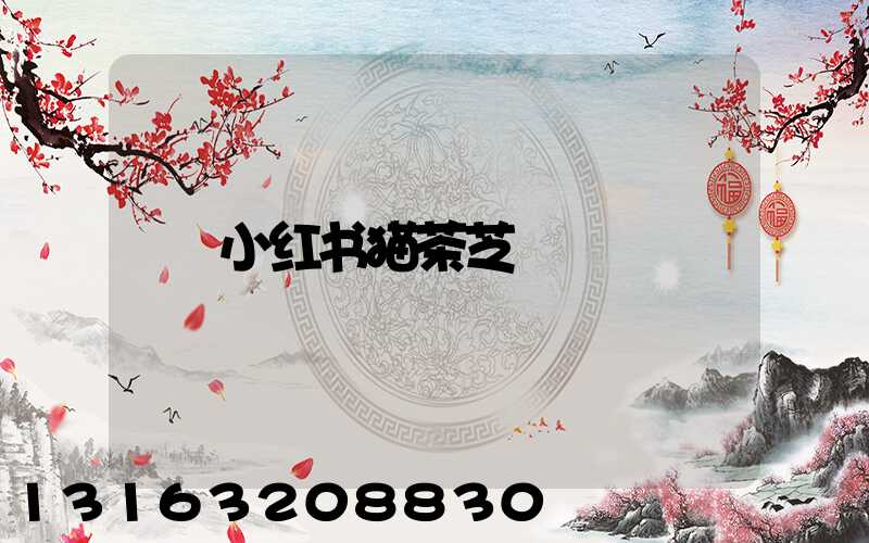 小红书猫茶芝