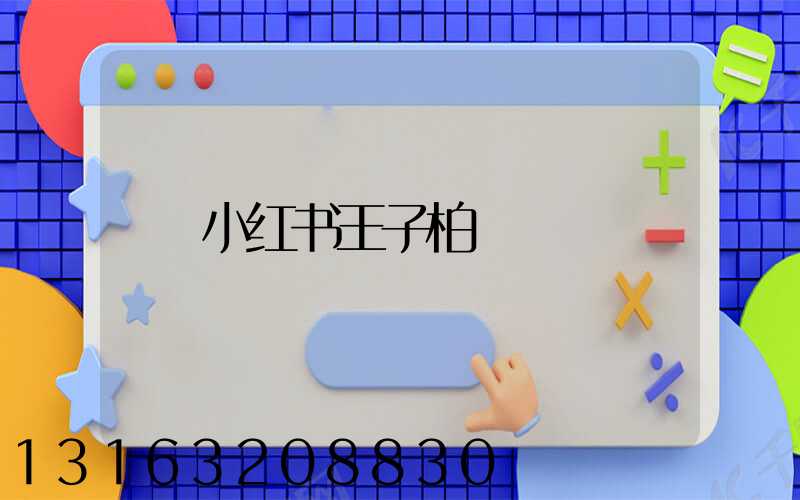 小红书王子柏