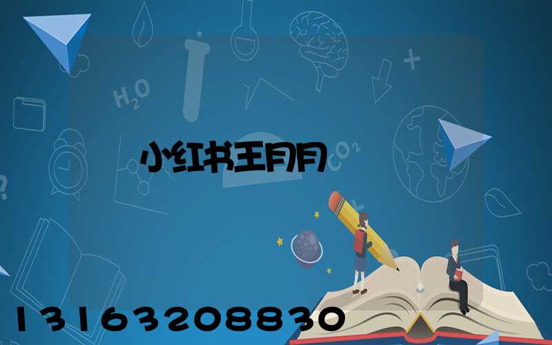 小红书王月月