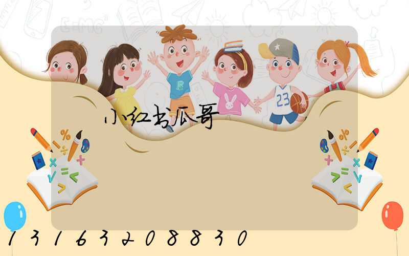 小红书瓜哥