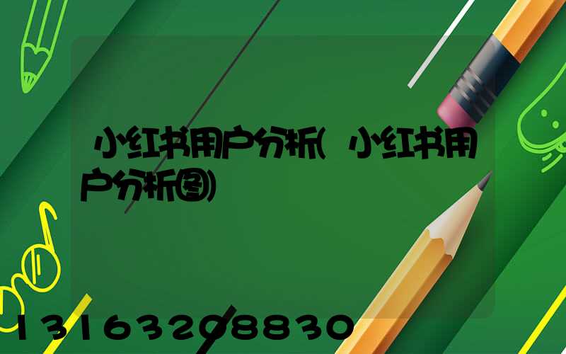 小红书用户分析(小红书用户分析图)