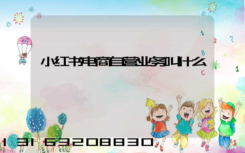 小红书电商自营业务叫什么