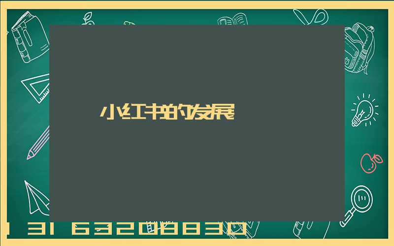 小红书的发展