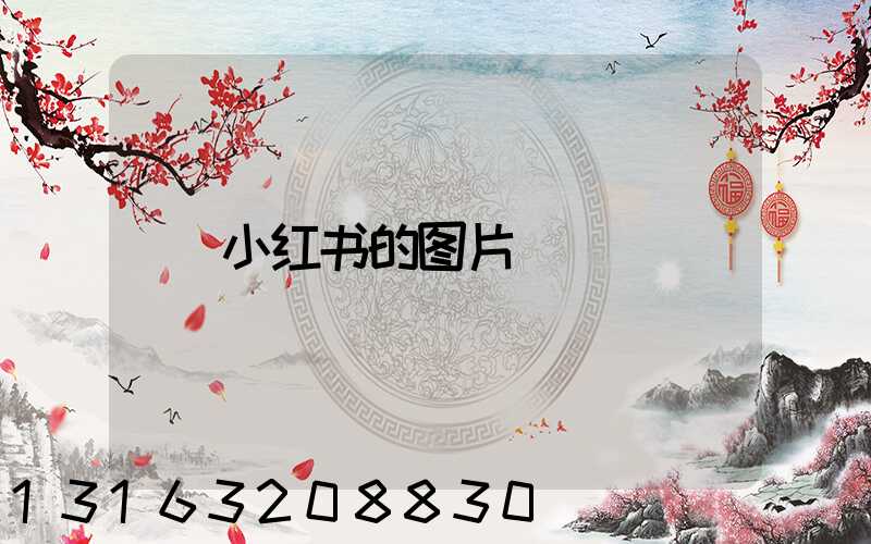 小红书的图片