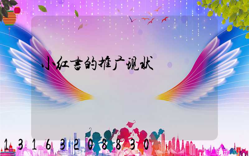 小红书的推广现状
